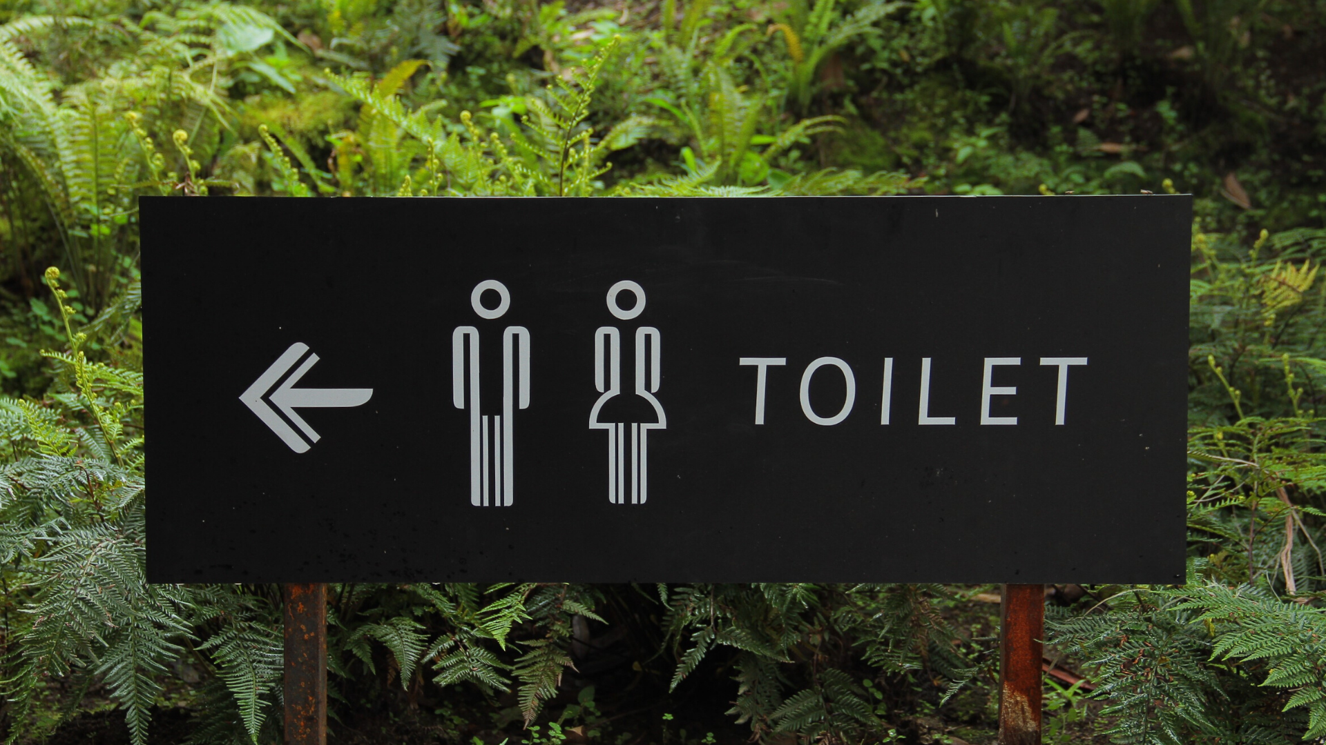 Tuvalet için tabela görseli.