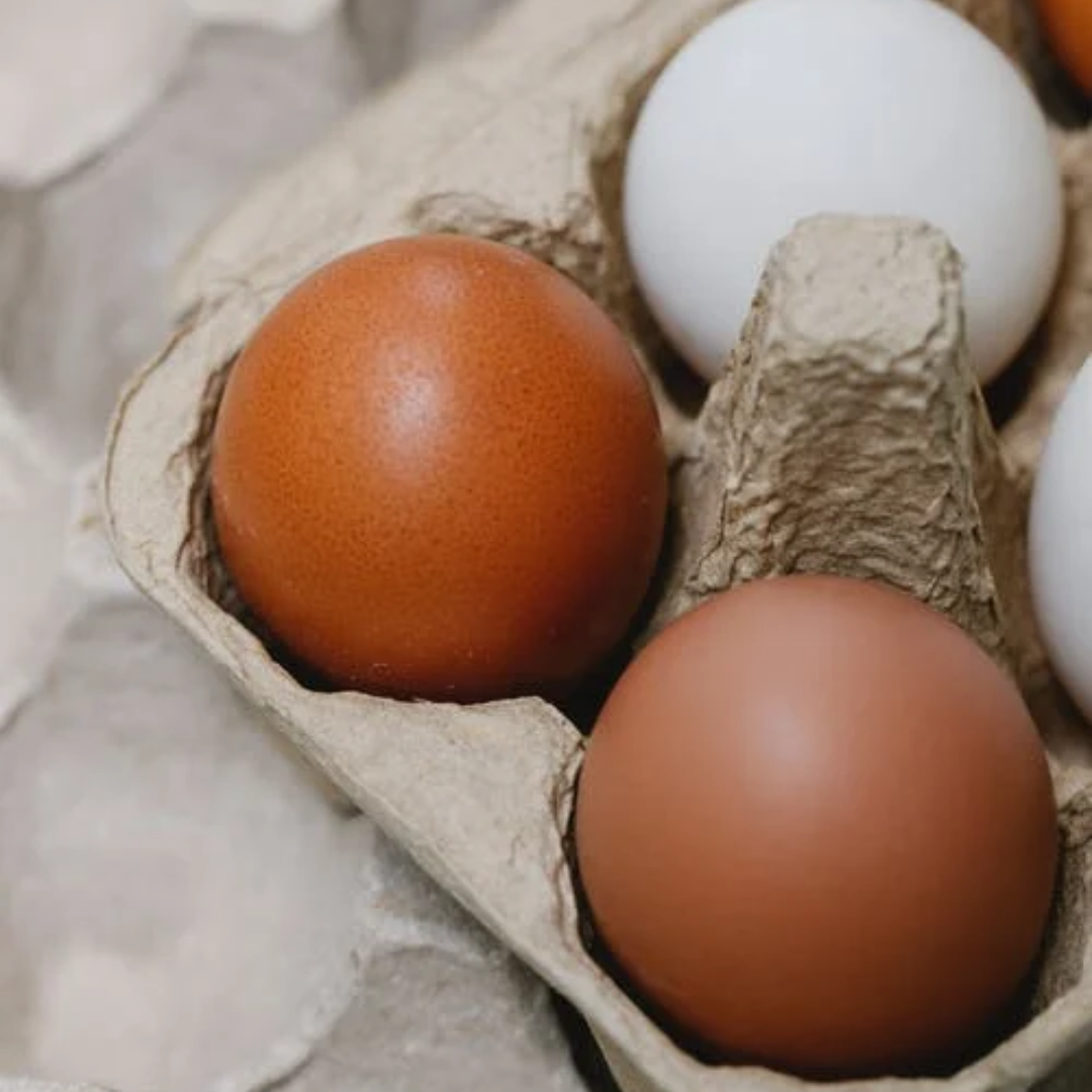Yumurtanın Faydaları ve Spor Yapanlar İçin Önemi Nedir?